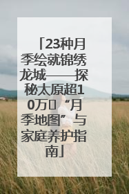23种月季绘就锦绣龙城——探秘太原超10万㎡“月季地图”与家庭养护指南
