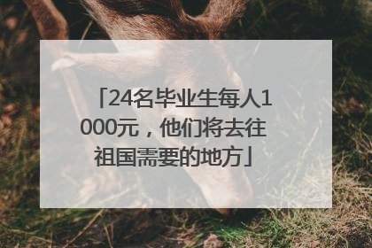 24名毕业生每人1000元，他们将去往祖国需要的地方