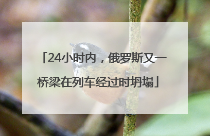 24小时内，俄罗斯又一桥梁在列车经过时坍塌