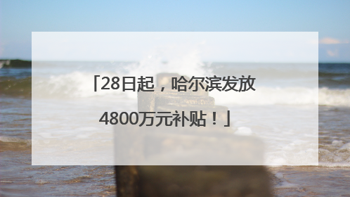 28日起，哈尔滨发放4800万元补贴！