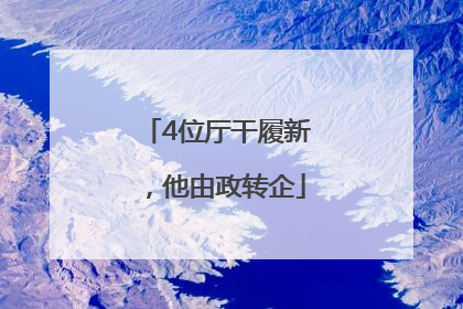 4位厅干履新，他由政转企