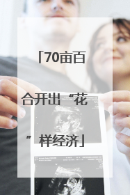 70亩百合开出“花”样经济