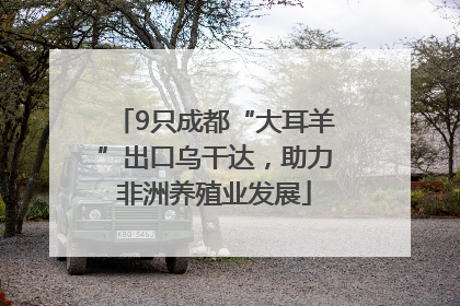 9只成都“大耳羊”出口乌干达，助力非洲养殖业发展
