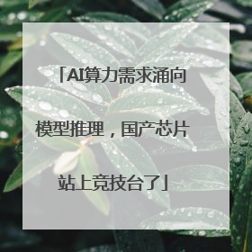 AI算力需求涌向模型推理，国产芯片站上竞技台了
