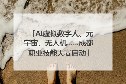 AI虚拟数字人、元宇宙、无人机……成都职业技能大赛启动