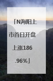 N海阳上市首日开盘上涨186.96%